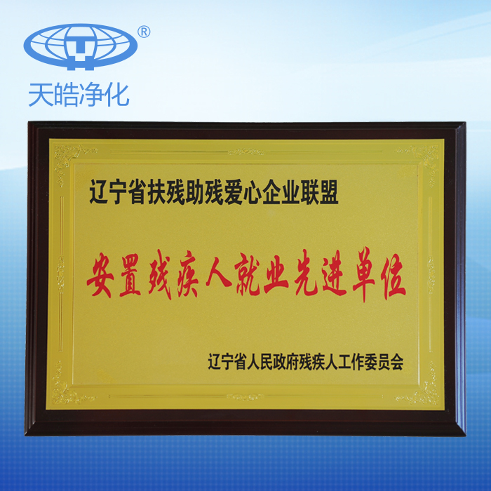 遼寧省扶殘助殘愛心企業(yè)聯(lián)盟安置殘疾人就業(yè)先進(jìn)單位.jpg